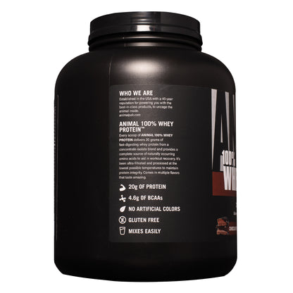 Animal 100% Whey Chocolate 4 lbs