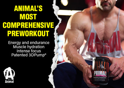 Animal Primal Pre Workout Powder Strawberry Watermelon