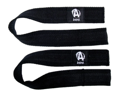 Animal Pro Lifting Straps